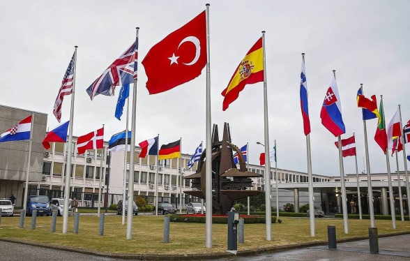 Президент Ближневосточного форума призвал исключить Турцию из НАТО